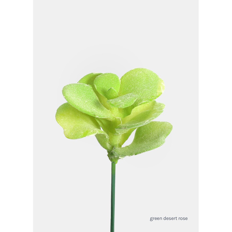 Official Key Items Artificial Succulents – Green Desert Rose
