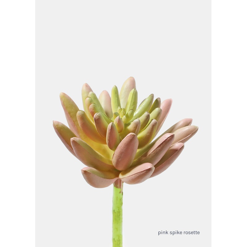 Official Key Items Artificial Succulents – Pink Spike Rosette