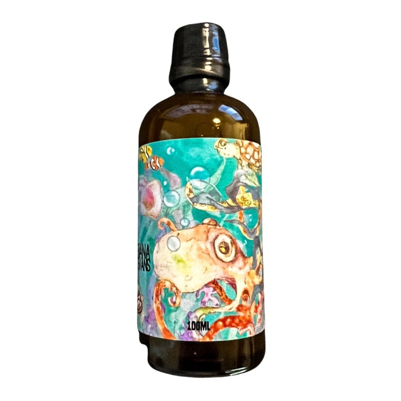 The Undersea Aftershave Splash & Skin Food –  by Ariana & Evans