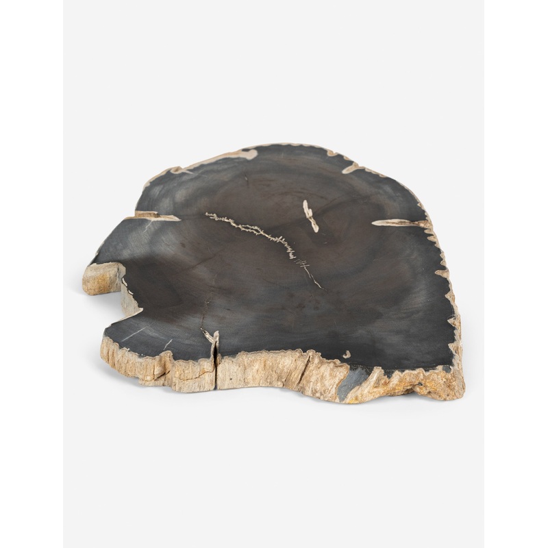 Farzana Petrified Wood Slab