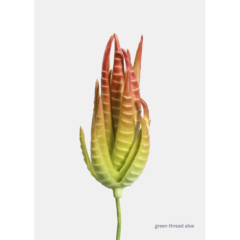 Official Key Items Artificial Succulents – Green Thread Aloe