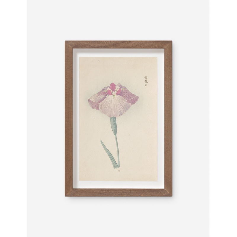Vintage Japanese Iris No. 25 Wall Art by Miyoshi Manabu