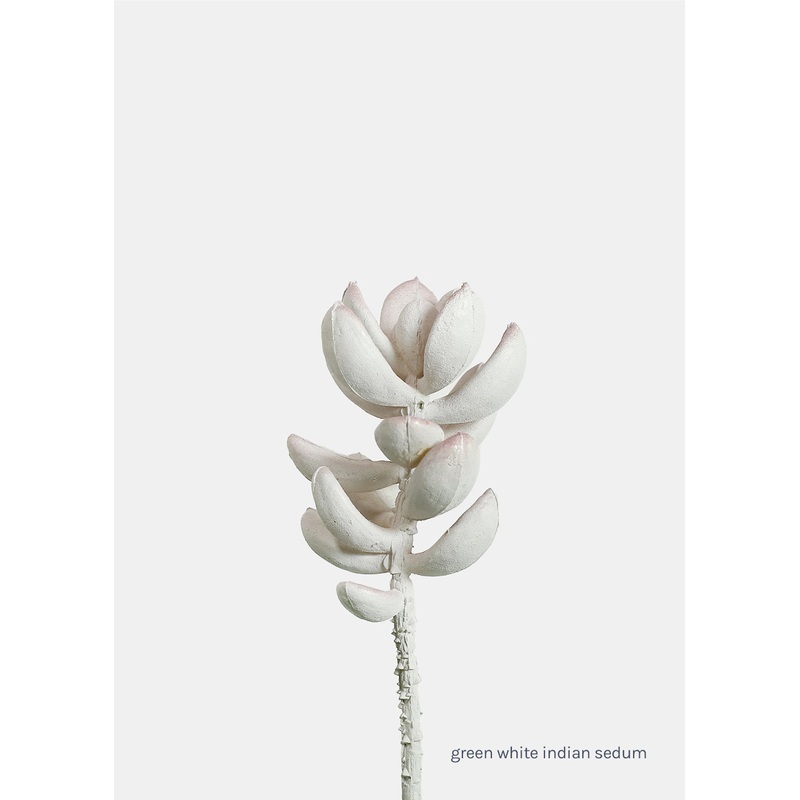 Official Key Items Artificial Succulents – Green White Indian Sedum