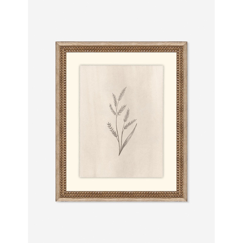 Elegant Botanical II Wall Art by Makai Howell 14″ x 17″