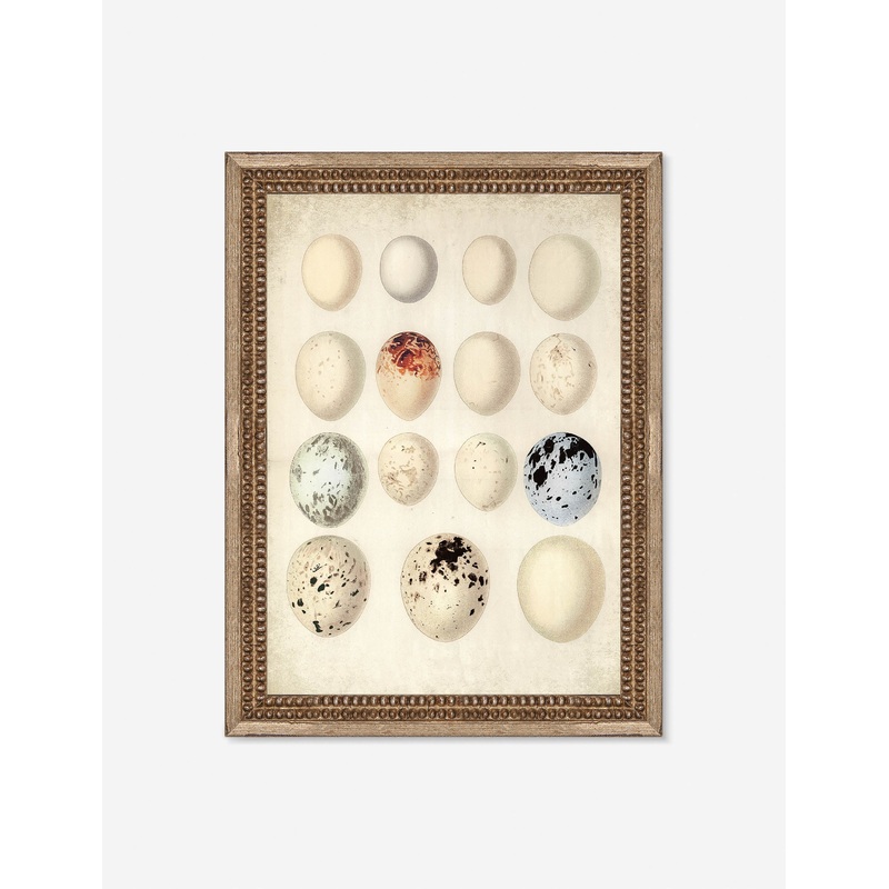 Speckled Egg II Wall Art by Helen Parker 12″ x 14″